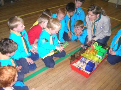 Beavers Pets Evening May 2006