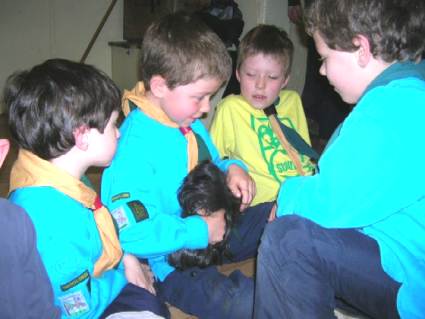Beavers Pets Evening May 2006