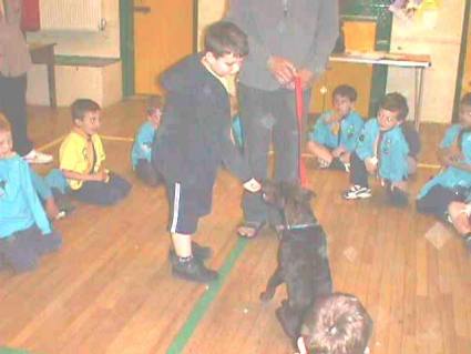 Beavers Pets Evening May 2006