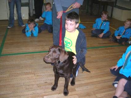Beavers Pets Evening May 2006