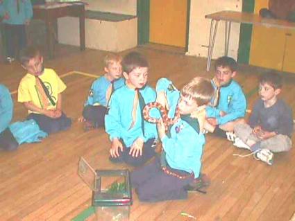 Beavers Pets Evening May 2006