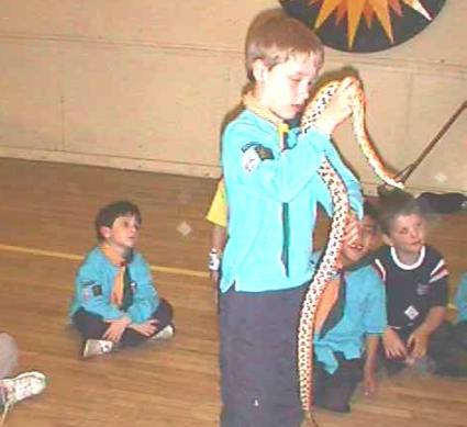 Beavers Pets Evening May 2006
