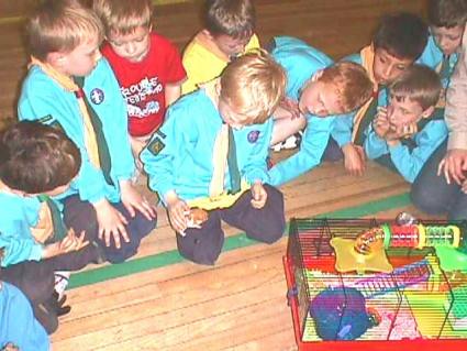 Beavers Pets Evening May 2006