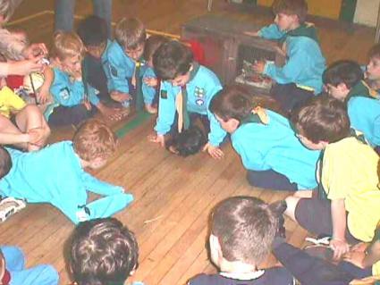 Beavers Pets Evening May 2006