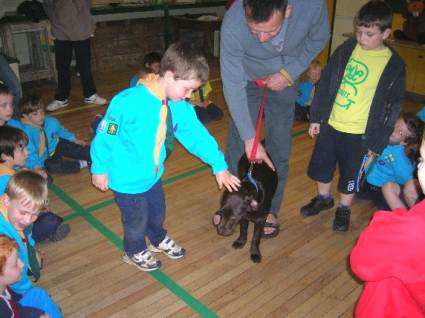 Beavers Pets Evening May 2006