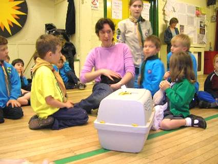 Beavers Pets Evening May 2006