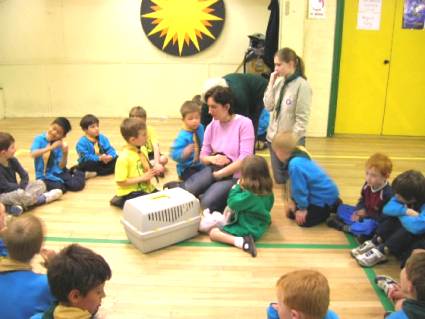Beavers Pets Evening May 2006