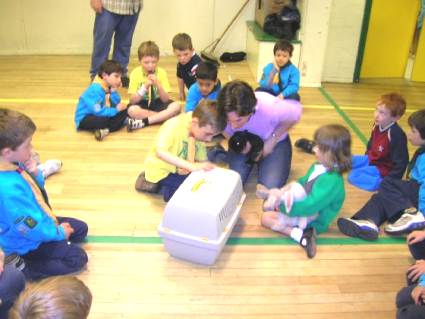 Beavers Pets Evening May 2006