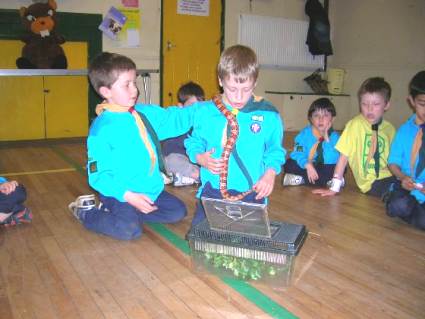 Beavers Pets Evening May 2006
