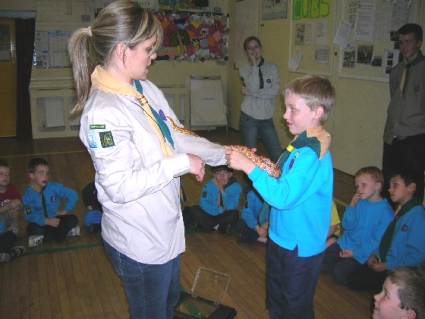 Beavers Pets Evening May 2006