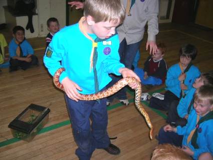 Beavers Pets Evening May 2006