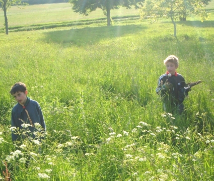 2006 Half Term Litter Clearing