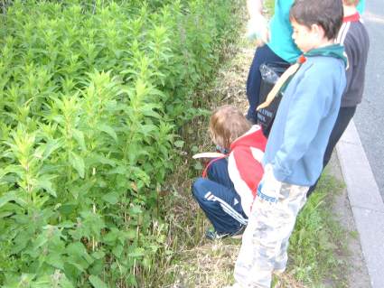 2006 Half Term Litter Clearing