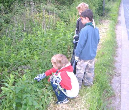 2006 Half Term Litter Clearing