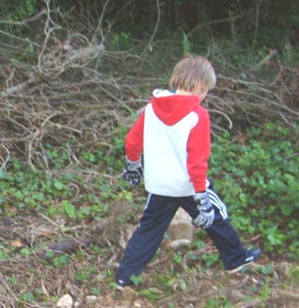 2006 Half Term Litter Clearing