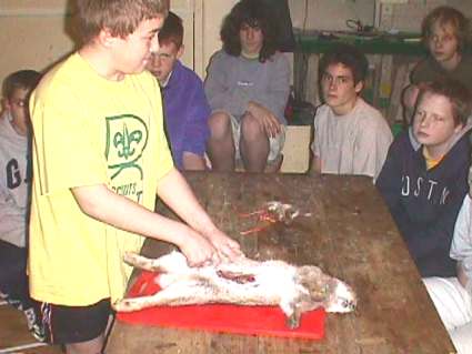Older Scout Activity Weekend - Prepairing Rabitts 