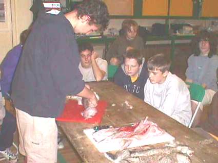 Older Scout Activity Weekend - Prepairing Rabitts 