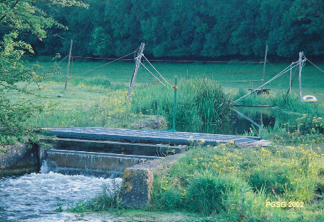 Summer Camp 2002 - Bridge