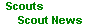Scout News