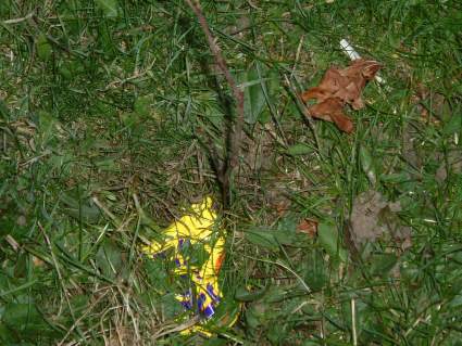 Good Friday 2004 - Pinkneys Green Scouts Easter Egg Hunt