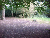 Chalfont Site 4